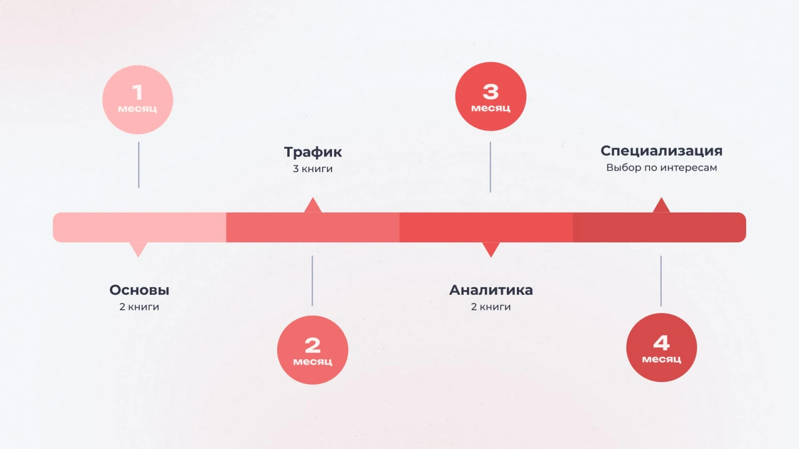 От основ до специализации